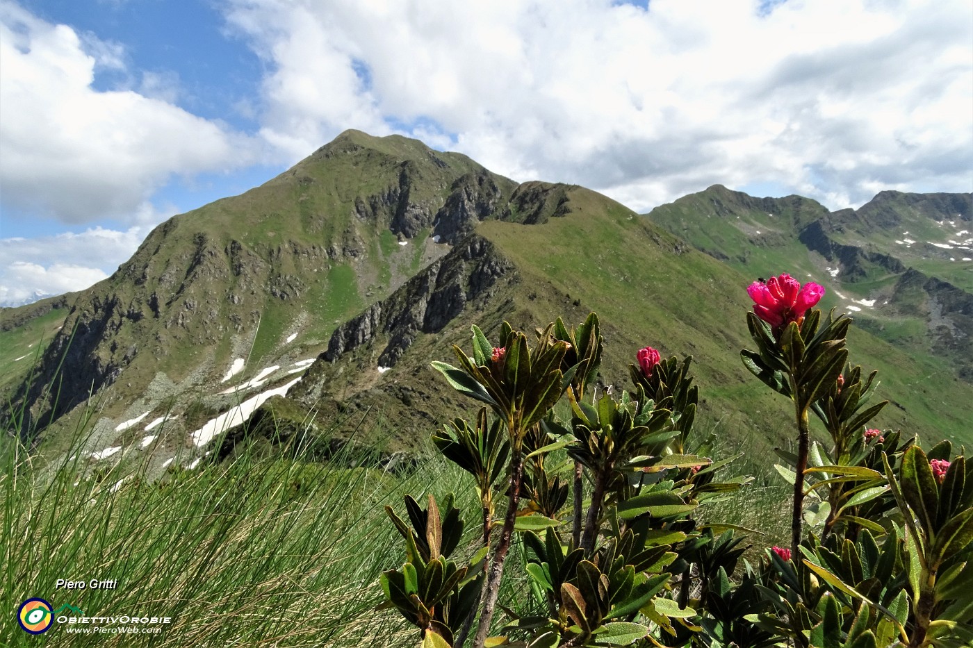 47 Cominciano a fiorire i rododendri.JPG